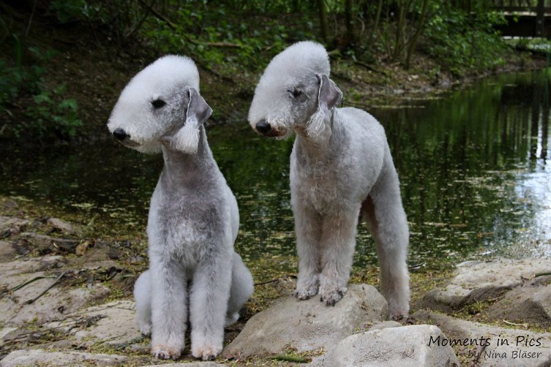 2010-05-01 Svet und Aveline (24).JPG